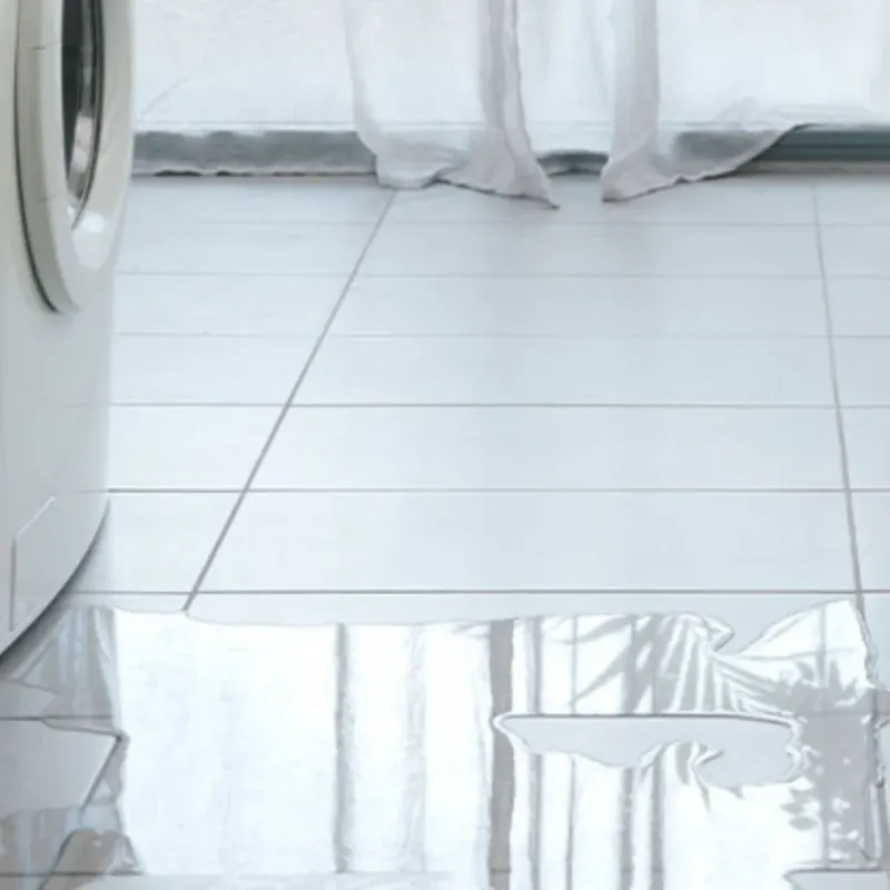 Appliance Leak Cleanup in Long Beach, WA