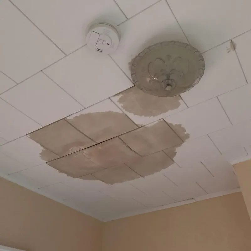 Ceiling Water Damage Repair in Long Beach, WA